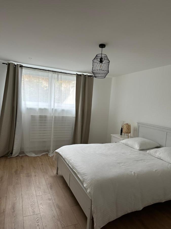 Joli Appartement Dans Une Maison Remise A Neuf Mittelhausbergen Exterior photo